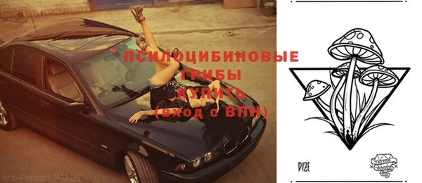 герыч Арсеньев
